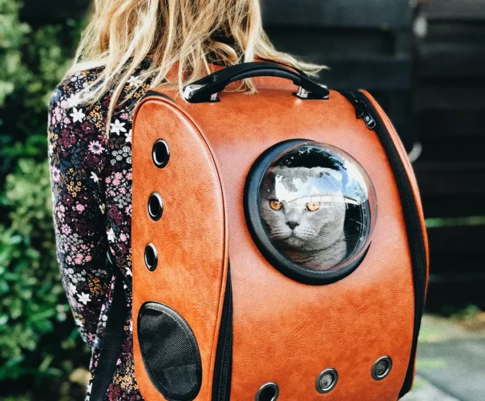 raoul-droog-Ea8rP2Ebp_4-unsplash_optimized Proin Sagittis