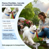 Localizador GPS para Perros y Gatos con SIM Integrada y Rastreo en Tiempo Real – Requiere Suscripción