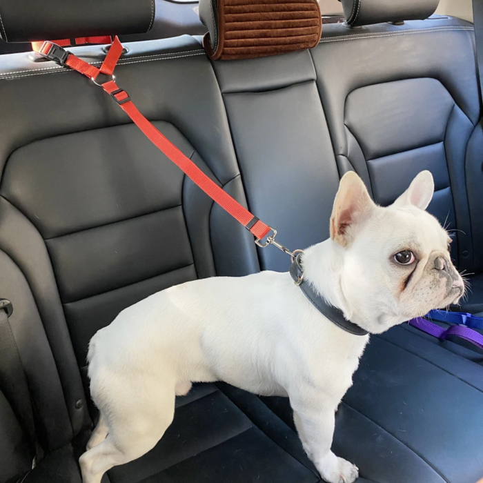 Correa Ajustable de Sujeción para Mascotas en Auto